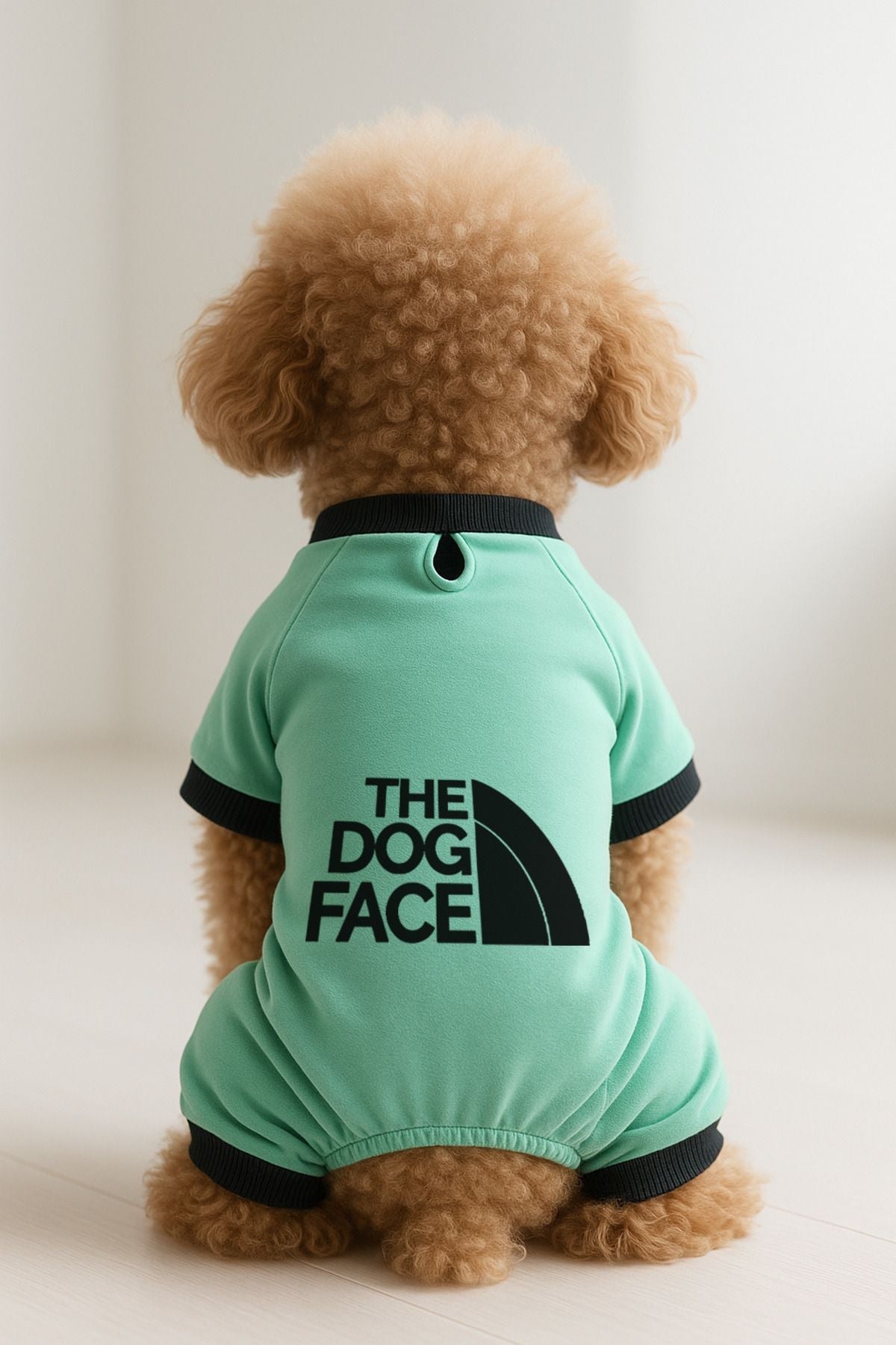 Dog or Cat 4 Leg Jumpsuit - Green The Dog Face