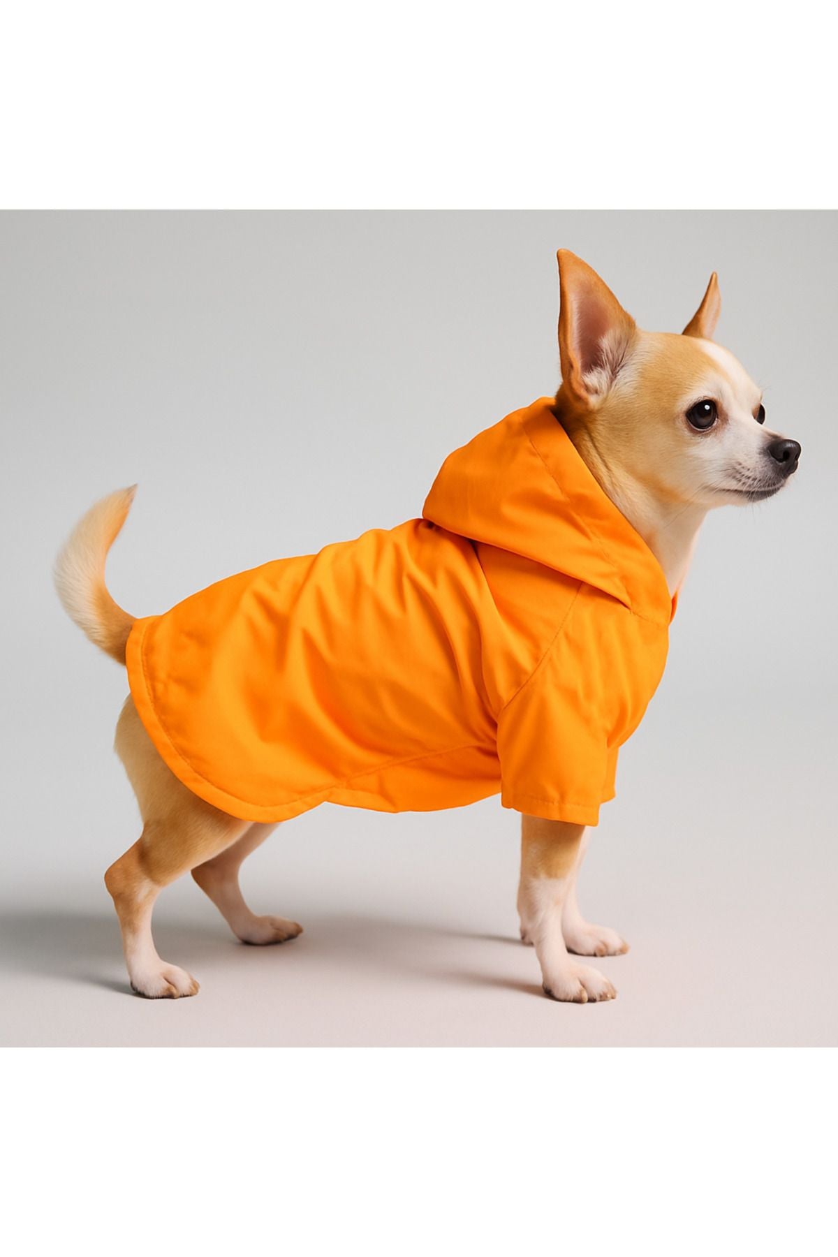Dog Raincoat - Waterproof - Mesh - Blank Orange