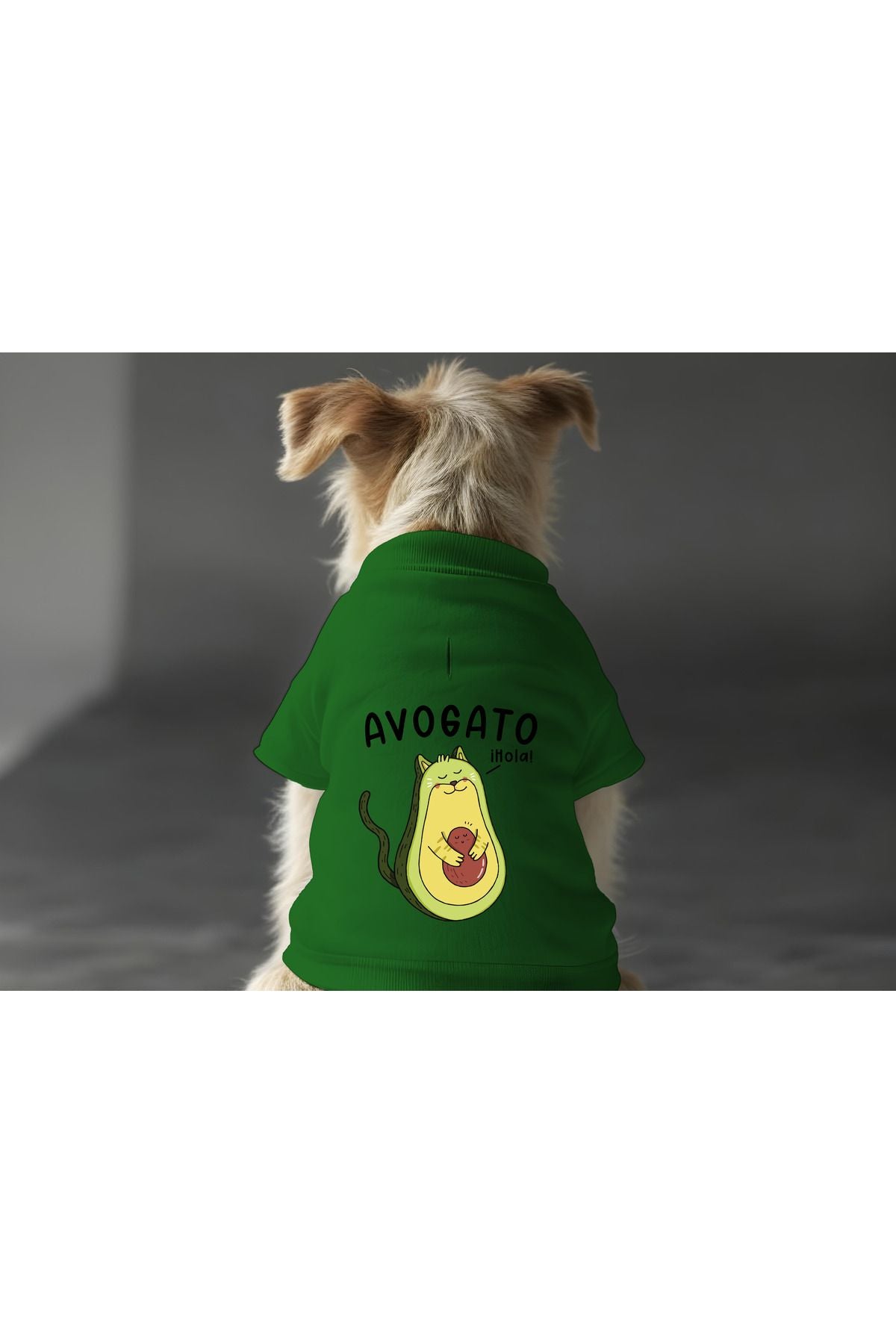 Dog or Cat Sweatshirt - Green Avagado