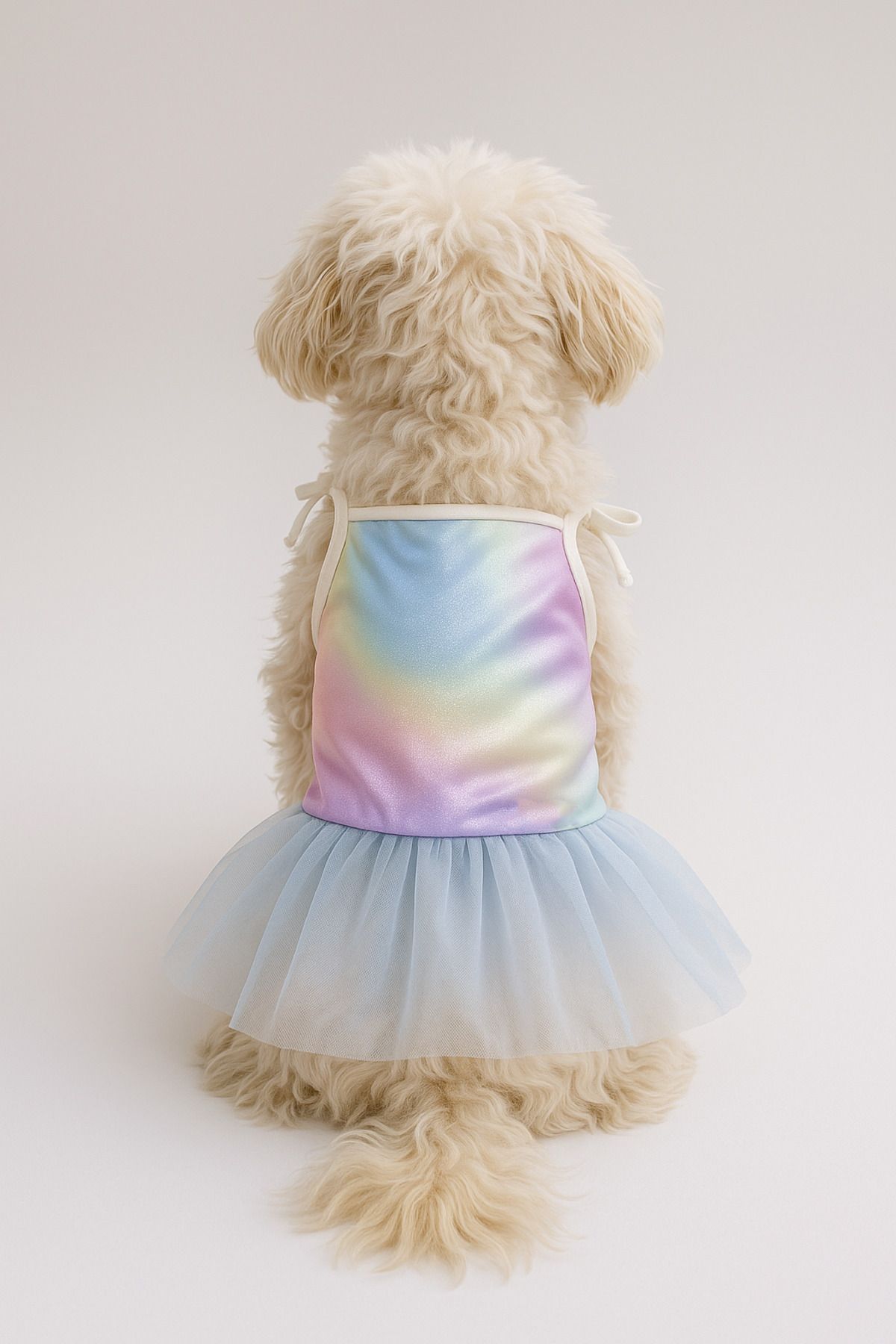 Dog and Cat Dress - Rainbow Tulle