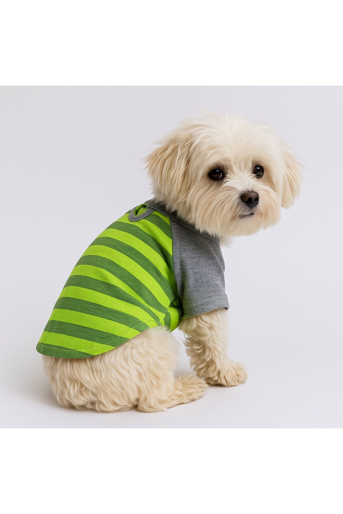 Dog or Cat Shirt - Green and Gray Striped