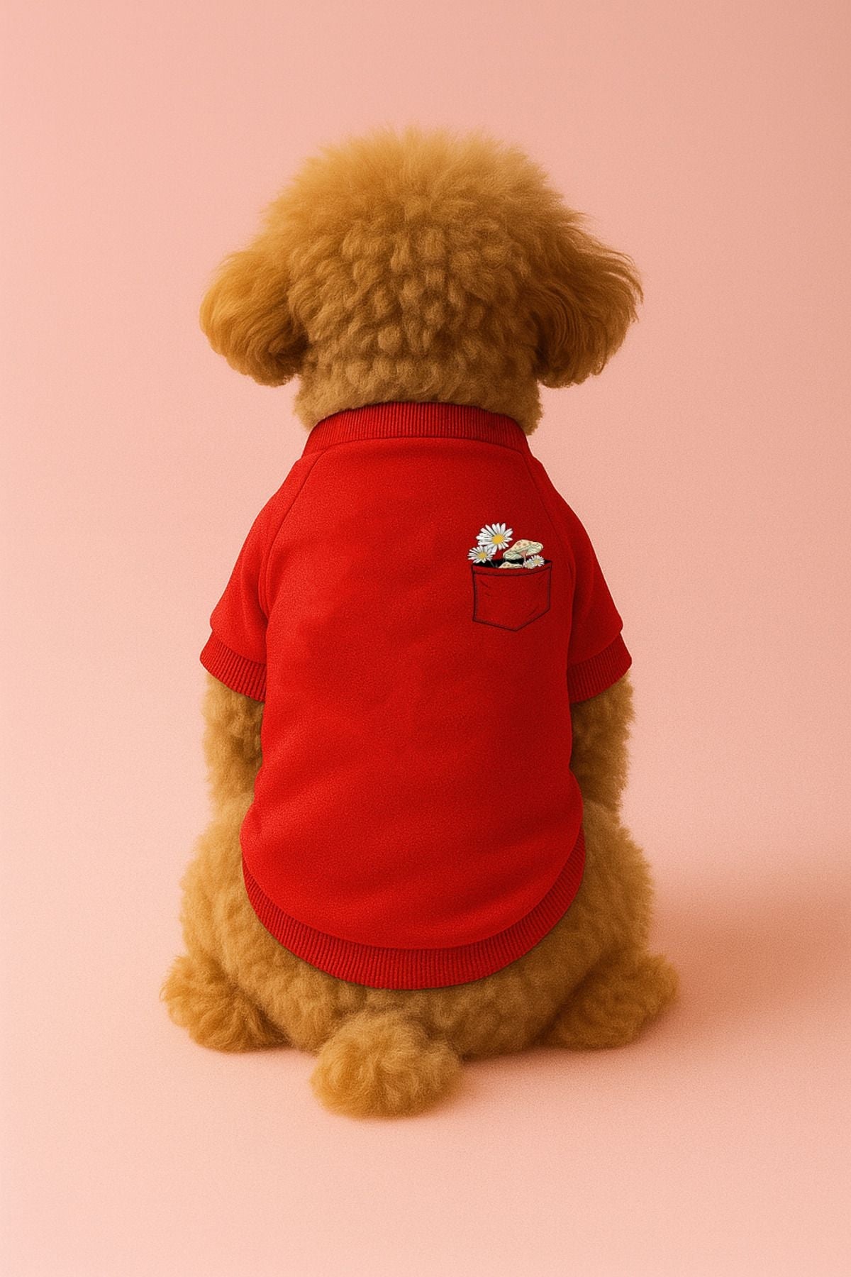 Dog or Cat Sweatshirt - Red Daisy Pocket