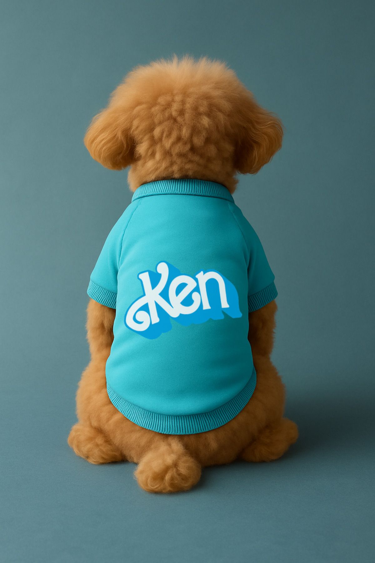 Dog or Cat Sweatshirt - Blue Ken