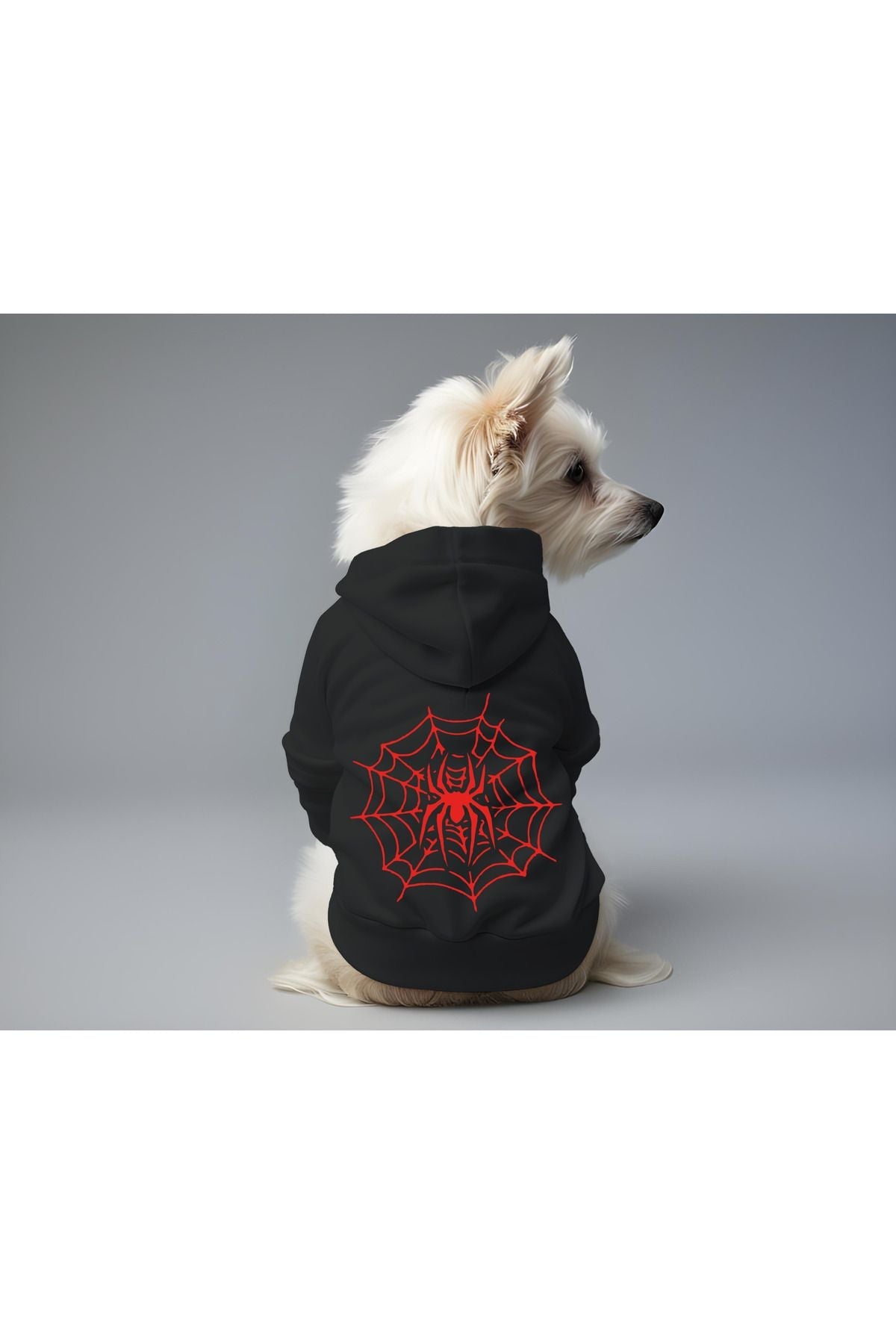 Dog or Cat Hoodie - Black Spider
