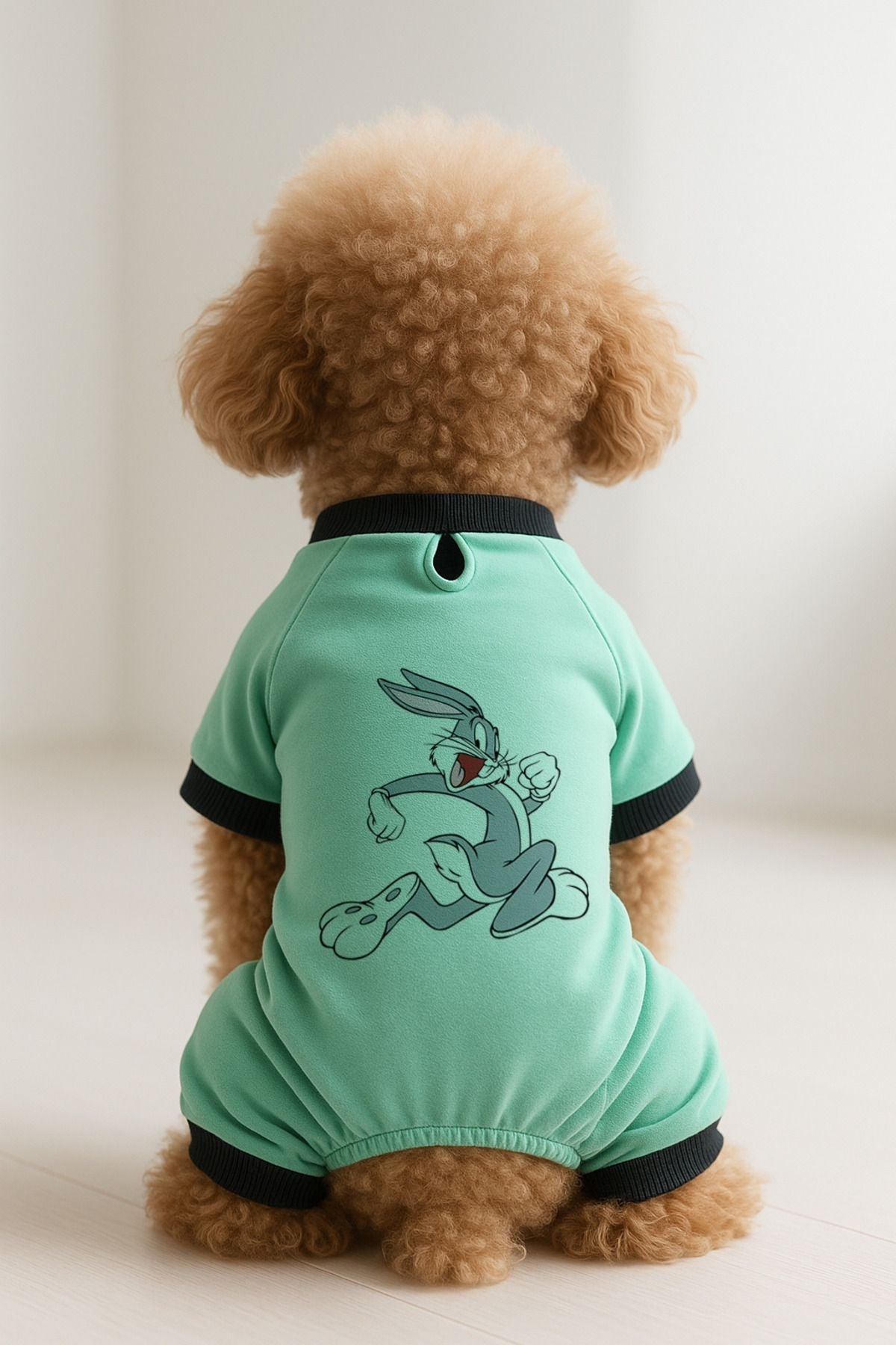 Dog or Cat 4 Leg Jumpsuit - Green Bugs Bunny