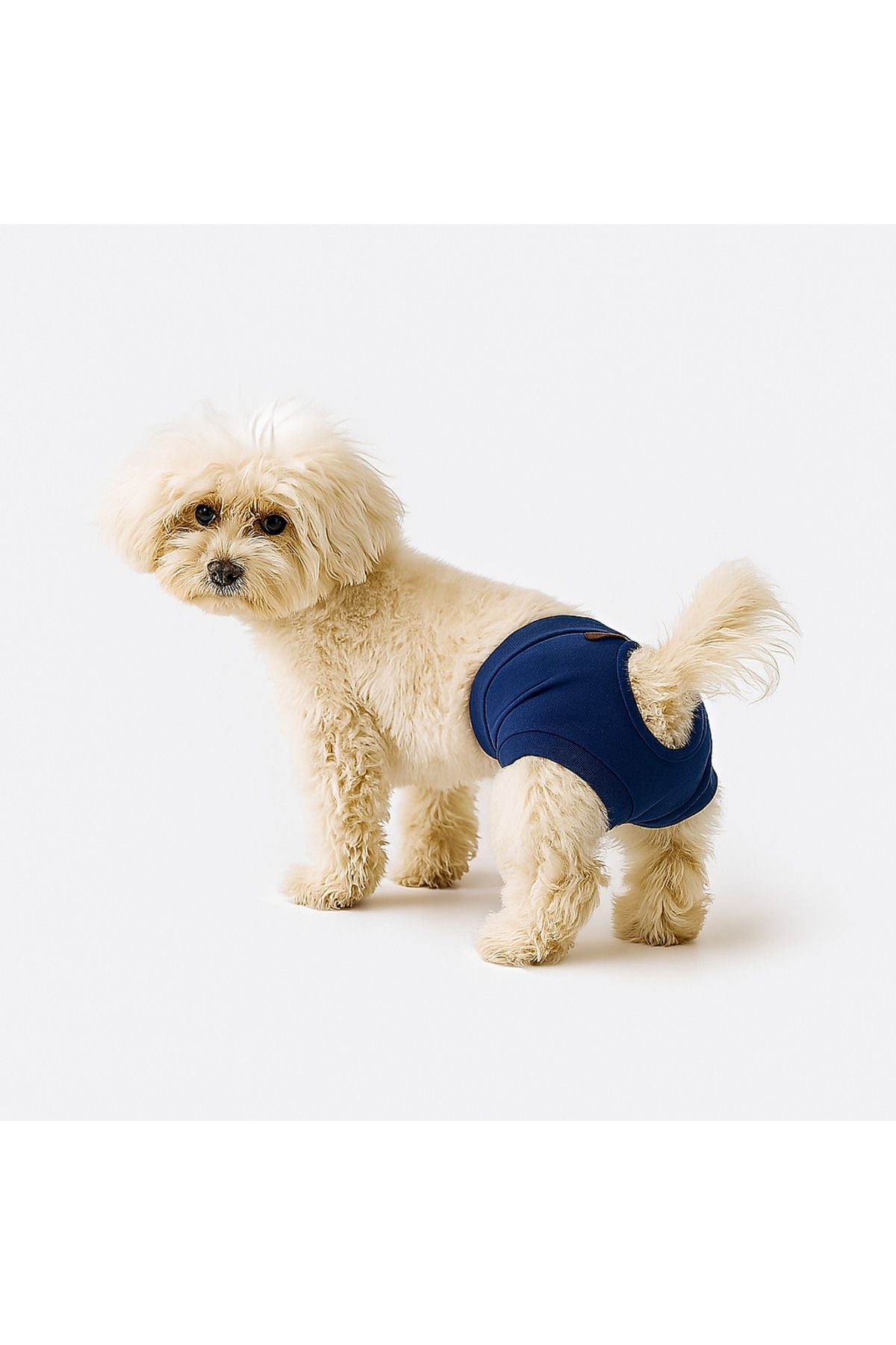 Dog or Cat Panties - Navy Blue