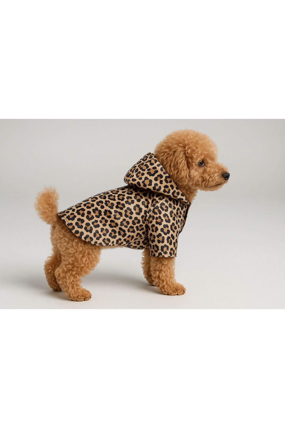 Dog Raincoat - Waterproof - Mesh - Leopard