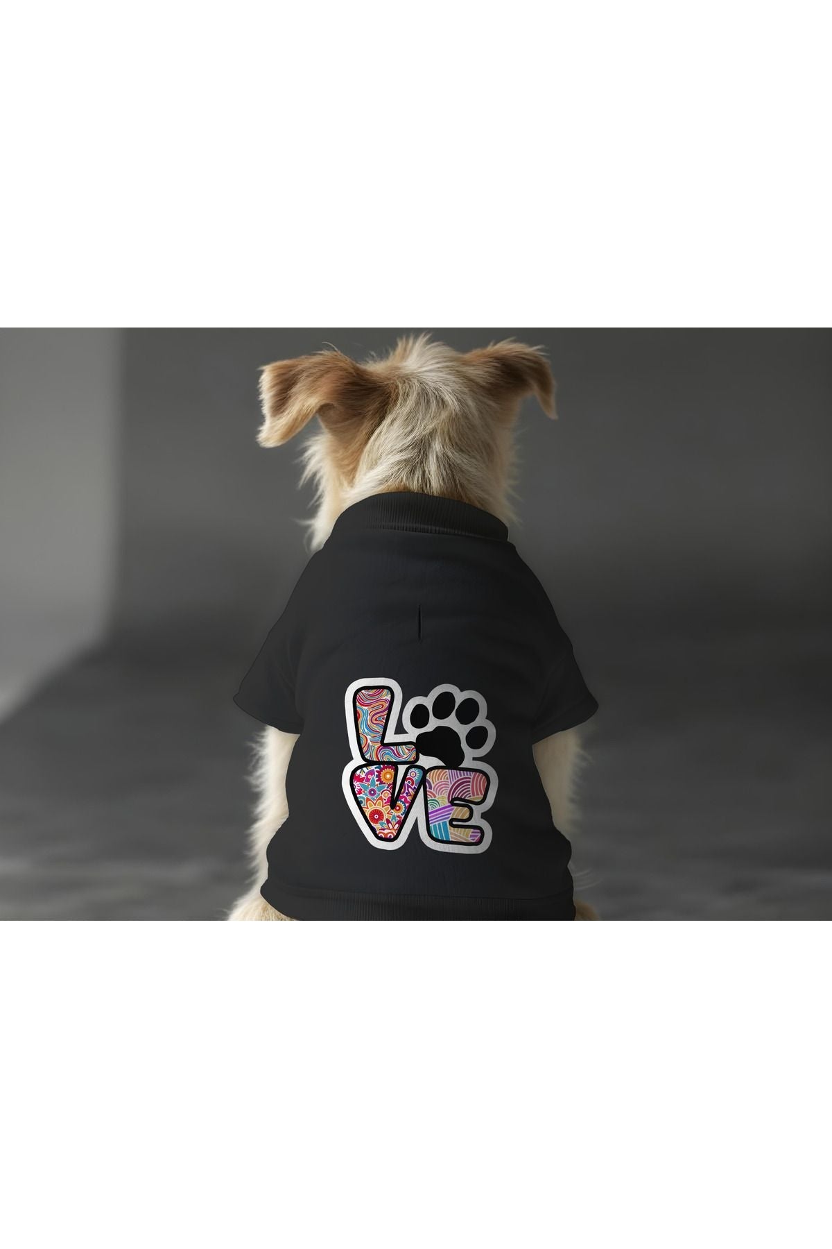 Dog or Cat Sweatshirt - Black Colorful Love