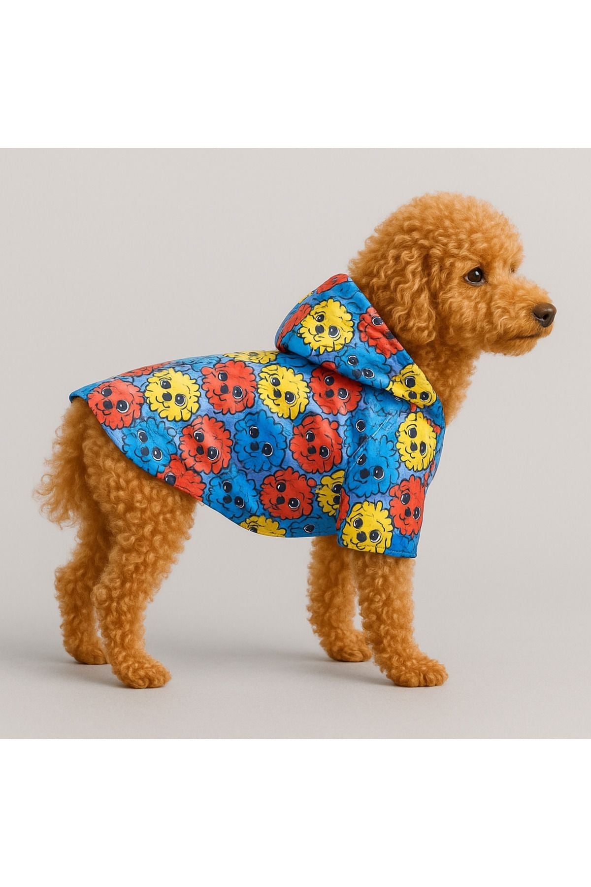 Dog Raincoat - Waterproof - Mesh - Colorful Microbe