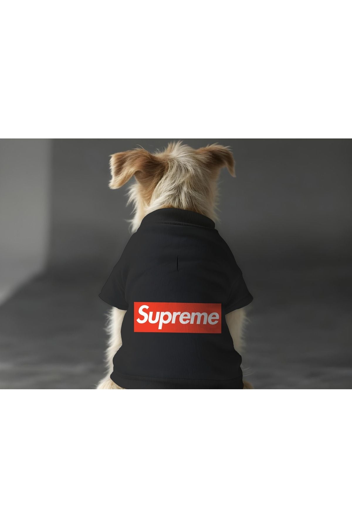 Dog or Cat Sweatshirt - Black Supreme