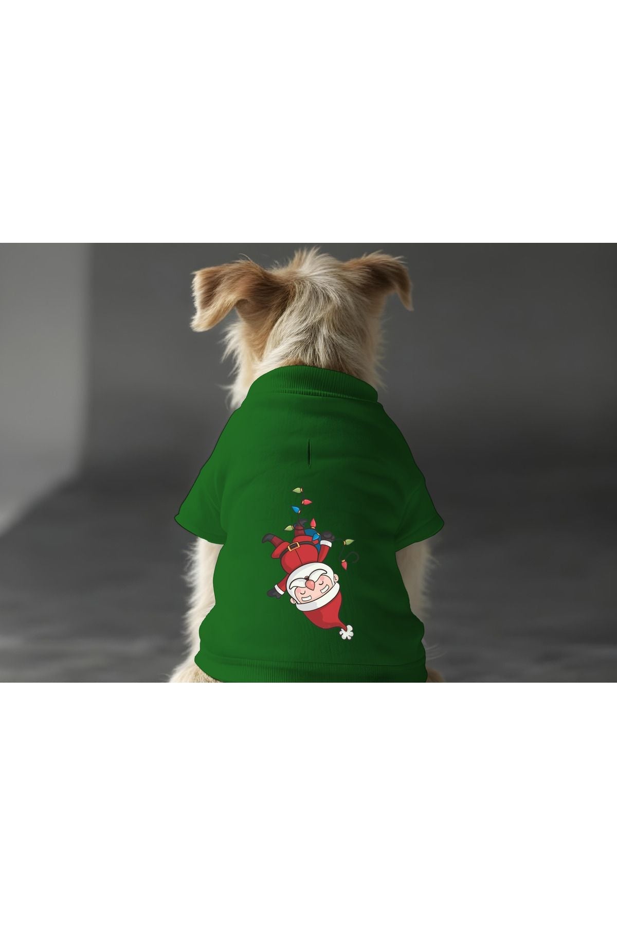 Dog or Cat Sweatshirt - Green Reverse Noel
