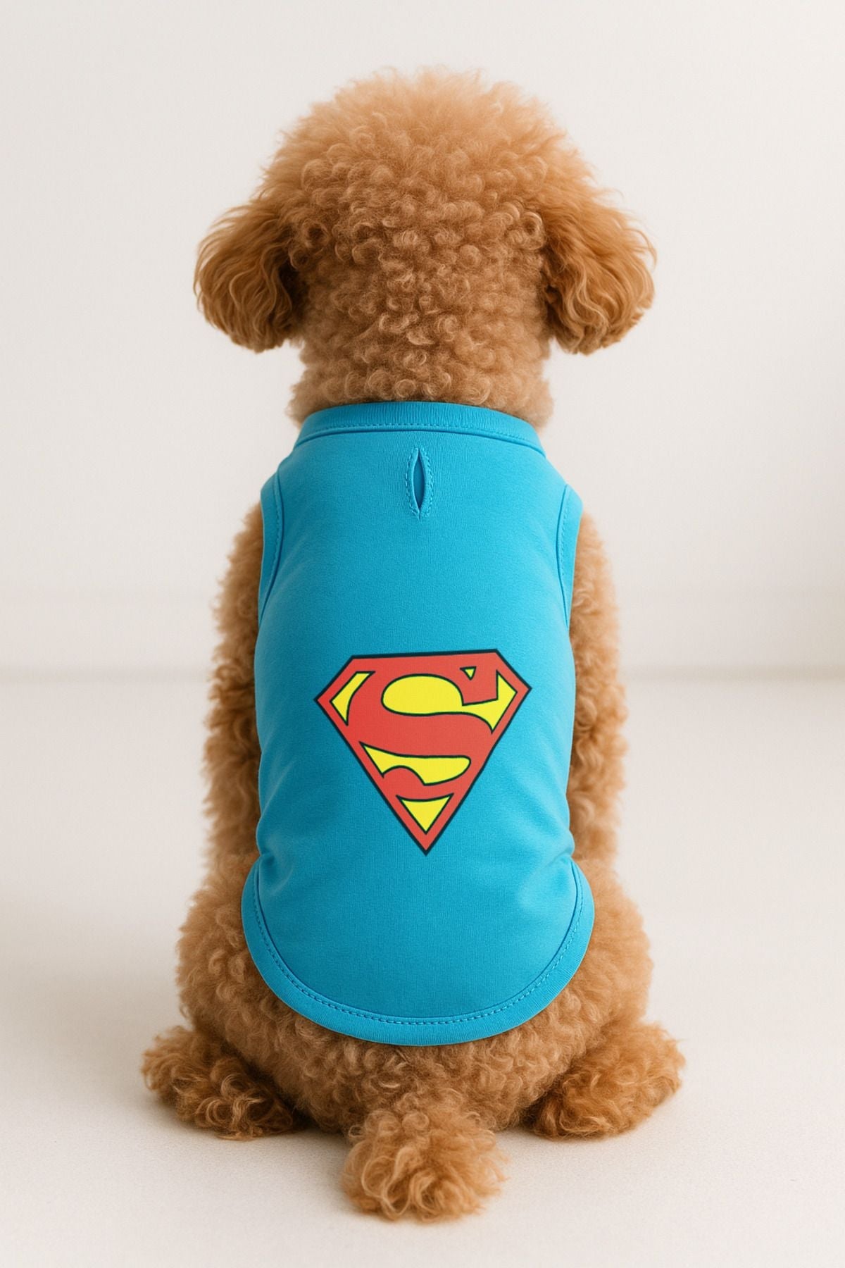 Dog or Cat T-Shirt - Turquoise Superman Lakers