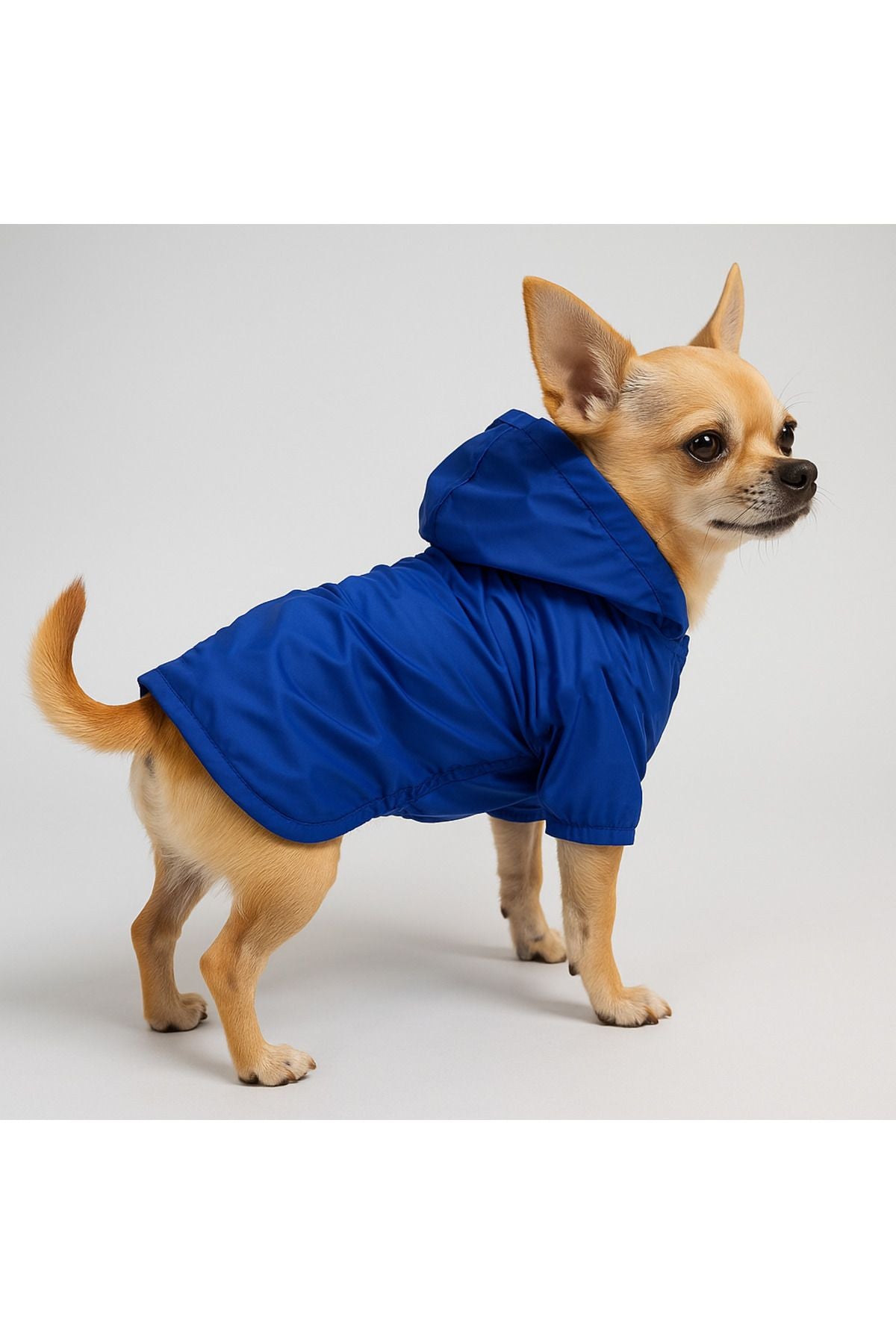 Dog Raincoat - Waterproof - Mesh - Blank Blue